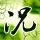 百里挑一